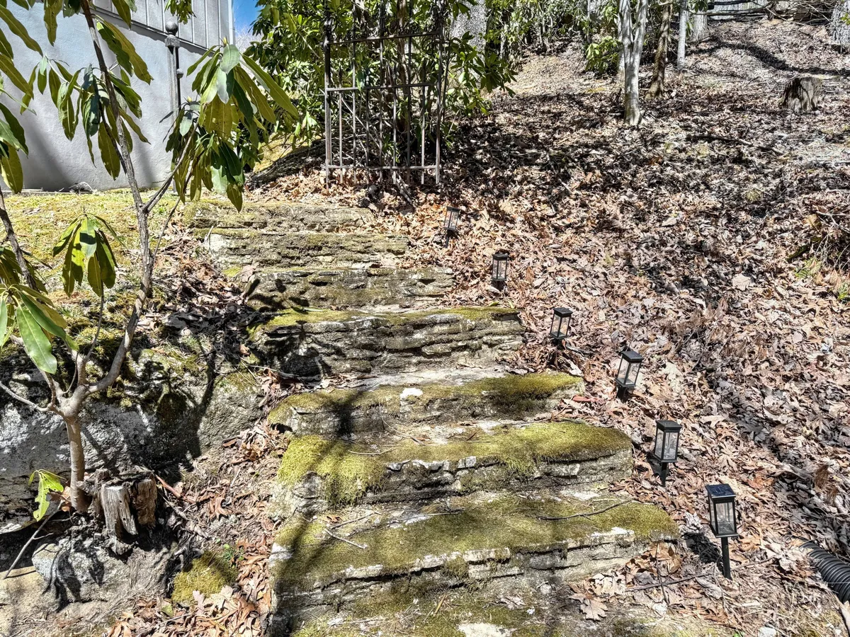 A stone pathway flanked by lush greenery and illuminated by pathway lights leads into a tranquil garden area. The scene suggests easy outdoor exploration and the enjoyment of peaceful walks or returns from downtown moments.