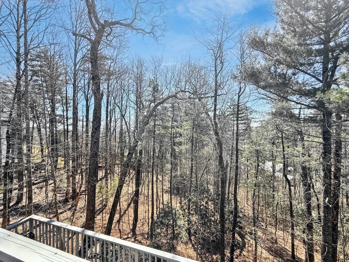 A broad view of tall trees under an open sky, with the wooded landscape unfolding into the distance. The scene evokes tranquility and connection to nature, with the potential for sunrise or sunset views and beautiful changes in the seasons. The perspective allows viewers to immerse themselves in the larger mountain environment.